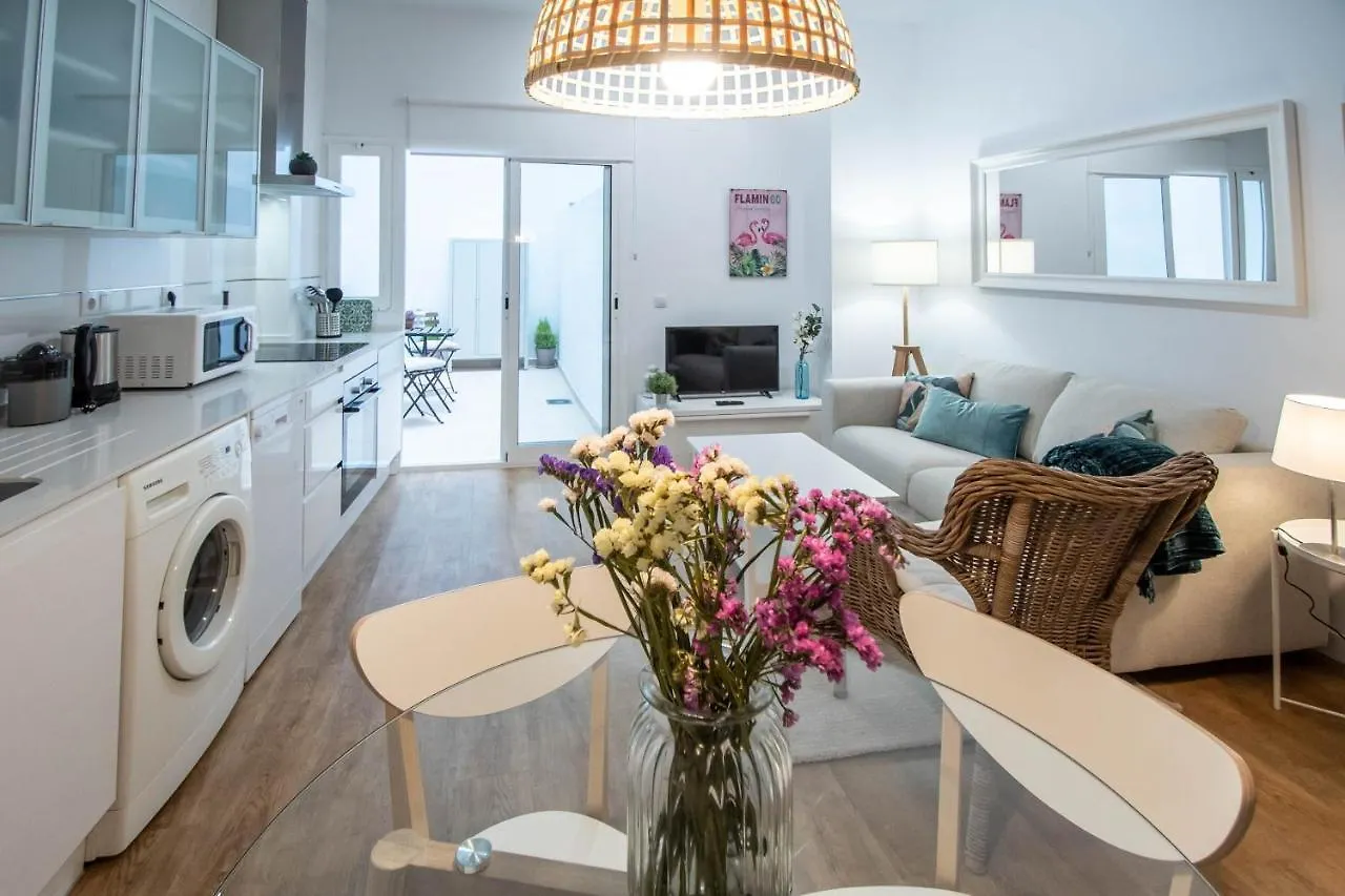 Apartamento Duplex Flamingo Cádiz